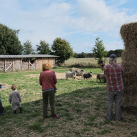 © Rachel Dagnall / Henning Christiansen Arkiv, Møn DK 