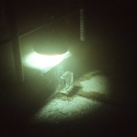 Pan Daijing: »Seal«. © Frankie Casillo