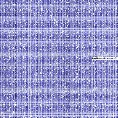 © Ryoji Ikeda
