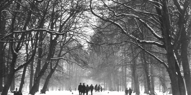 Still fra ‘Dyrehaven, den romantiske skov’. © Laterna Film Still fra ‘Dyrehaven, den romantiske skov’. © Laterna Film