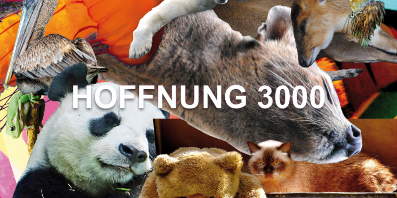 Hoffnung 3000. Hoffnung 3000.