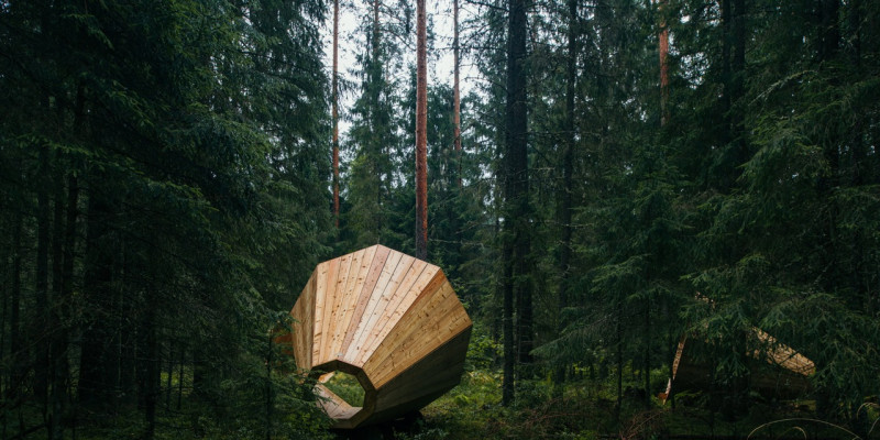 Birgit Õigus' installation 'Forest Megaphones' i Silkeborg.