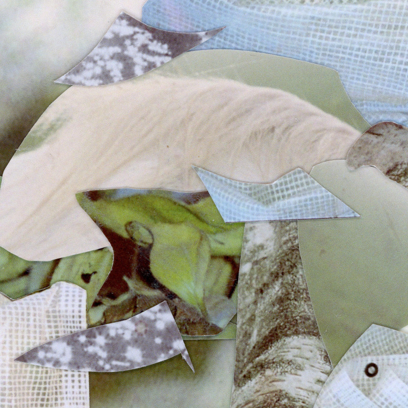 © Quiver: »Artificial Tranquility« © Quiver: »Artificial Tranquility«