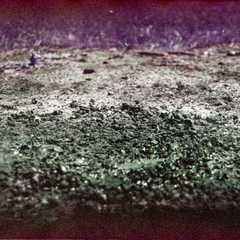 Sune Pors: »Convalescence« Sune Pors: »Convalescence«