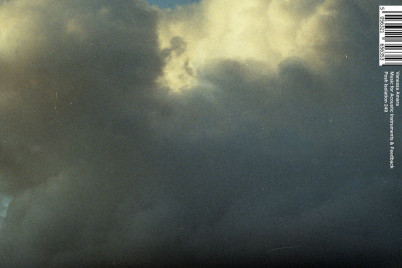 Vanessa Amara: »Music for Acoustic Instruments & Feedback«. © Posh Isolation