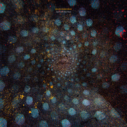 Jacob Anderskov: »Spirit of the Hive«