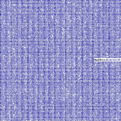 © Ryoji Ikeda